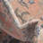 Denena Oriental Indoor Rug-1030173101