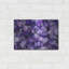 «Mauve Thoguthsh» par la NASA Space Photos