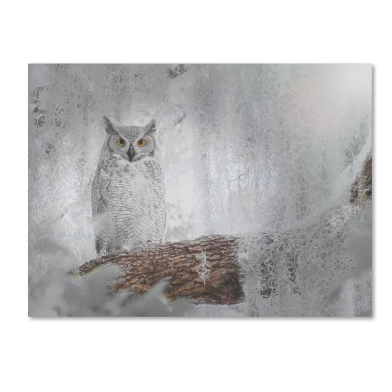 'Owl Dreams' Photographic Print on Wrapped Canvas, 14" H x 19" W x 2" D