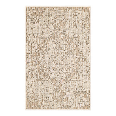 Indoor/Outdoor Traditional Area Rug