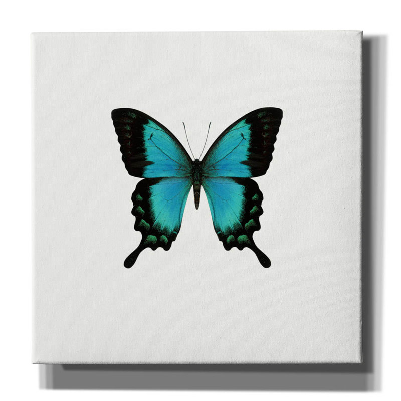 «Blue Butterfly» par PhotoINC Studio, H 12 po x l 12 po x P 0,75 po