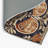 Oracle’S Vision Indoor And Outdoor Area Rug-1754529387