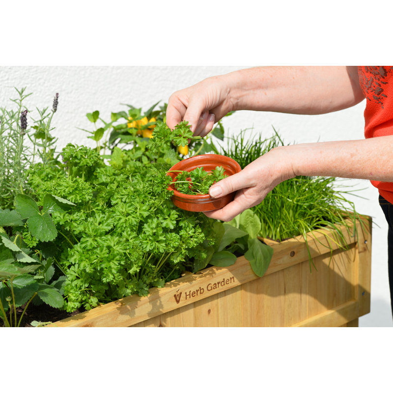 Detrick Herb Garden - Natural (FSC 100%)