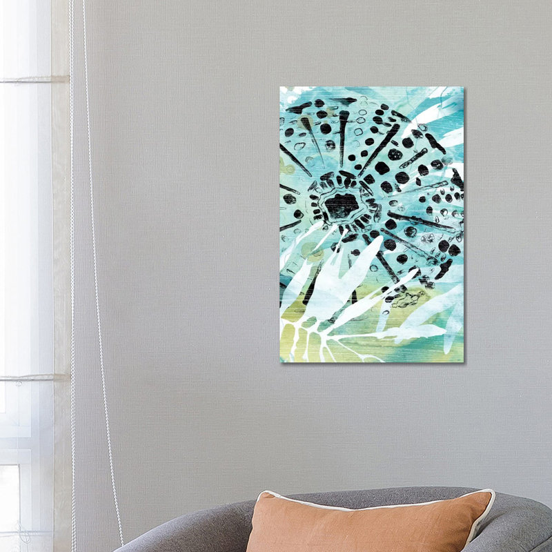 Echinoidia II by June Erica Vess - Wrapped Canvas Print, 66.04 cm H x 45.72 cm W