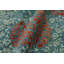 One-of-a-Kind 5'6”x6'9” Hand Knotted Area Rug