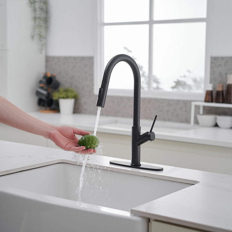 Single Handle Pull Down Sprayer Kitchen Faucet, Matte Black