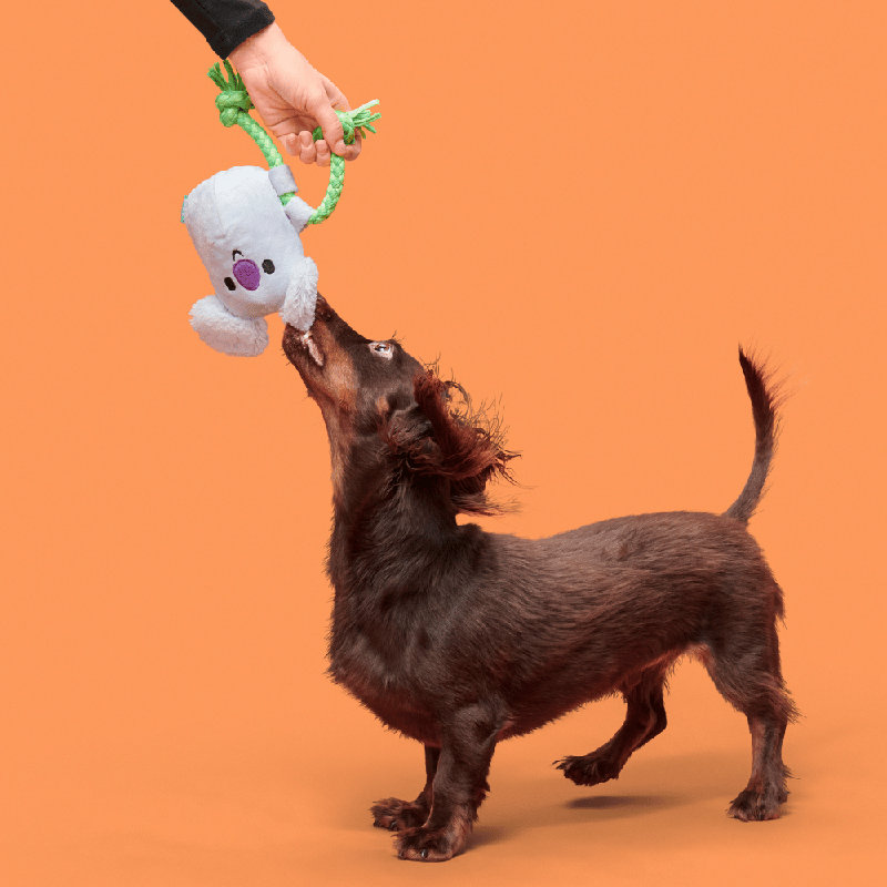 Australian Outbark Accessories