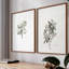 Impression florale rétro vintage XXII - ensemble de 2 estampes-715148021-715148022