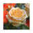 Wrapped Canvas selected