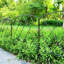 Charolette 61 cm H x 61 cm W Fence Panels Fencing