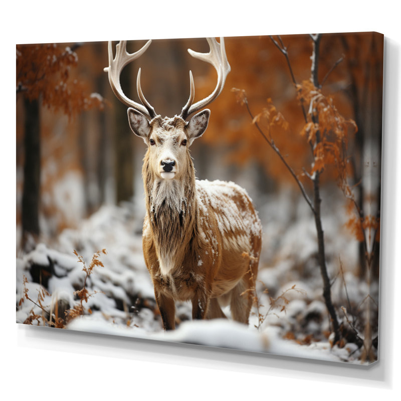 Deer Graceful Deer sur toile, 34" H x 44" W, Toile tendue