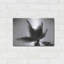 «Palm Tree Look Up IV» par Debra Van Swearingen-532693261