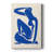 Matisse CXCV Framed Print -Gallery Wrapped Cavas