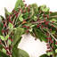 Couronne de bouleau artificielle 22 "avec eucalyptus et feuilles de magnolia, baies, printemps, hiver, couronne de Noël pour la porte d'entrée-1929293417