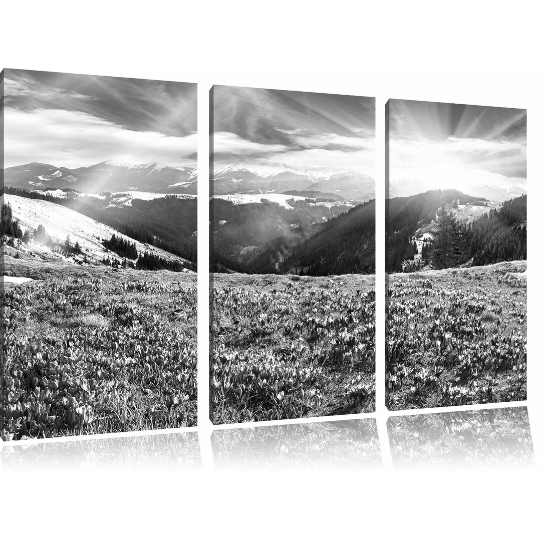 3-tlg. Leinwandbilder-Set „Schneebedeckte Berglandschaft mit Regenbogen und blühenden Krokussen“, Fotodruck