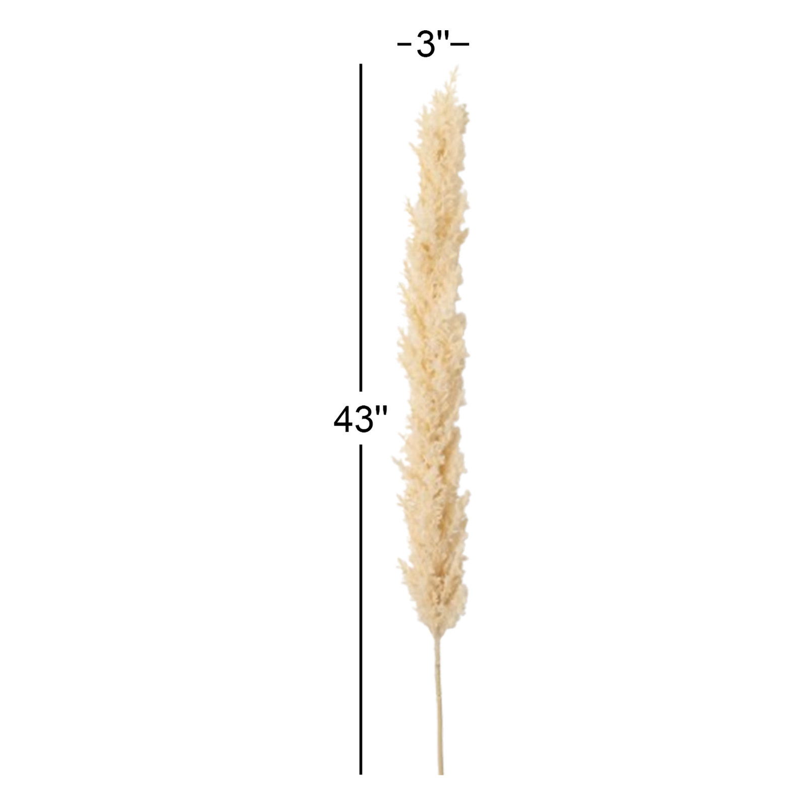 Madie Plume Stems, Off-White