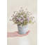 Thym artificiel en pot-354294513