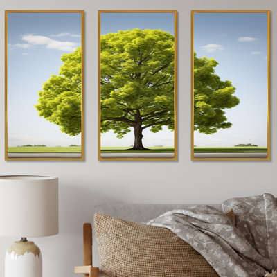 «American Basswood Elegance - Tree Amercian Basswood», ensemble de reproduction d'art mural