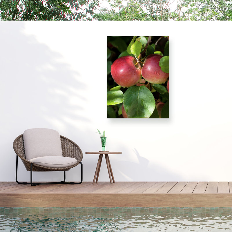 Toile d'extérieur Marcus Jules Macintosh Apples, H 14 po x l 19 po