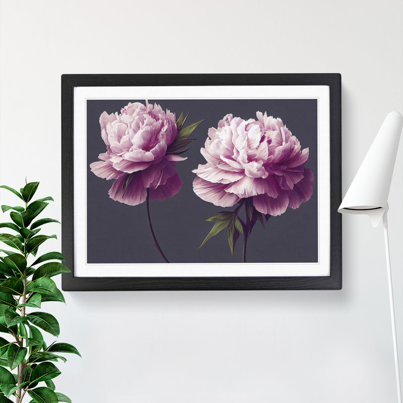 Tranquil Peony Flowers - Single Picture Frame Print, Black Framed, 46cm H x 64cm W x 2cm D