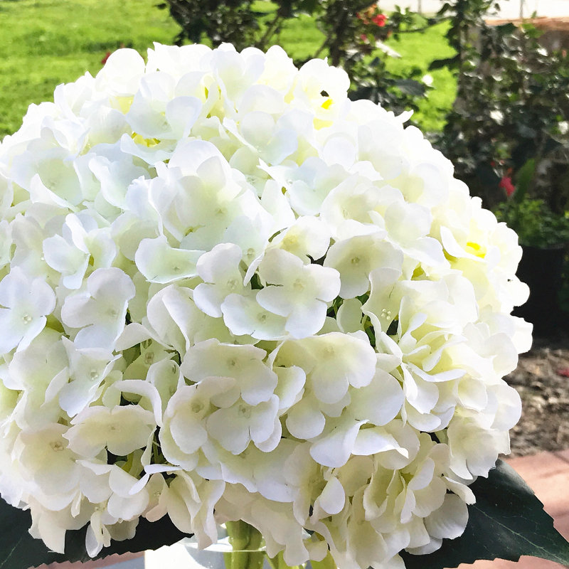 Tiges d'hortensia en soie artificielle, Crème