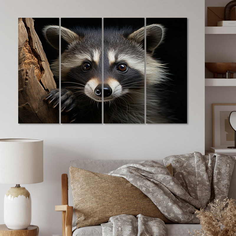 Curious Raccoon III sur toile, reproduction de 4 pièces
