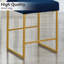 Alyncia Upholstered Counter Stool-794824613