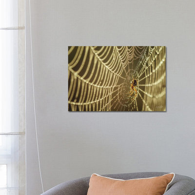 The Spider and Her Jewels 1 Piece Wrapped Canvas Wall Art