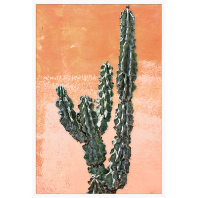 Orange Cacti 2 par Nathan Turner - Photographie de cadre photo sur papier