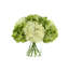Green & White Hydrangea in Acrylic Water Vase