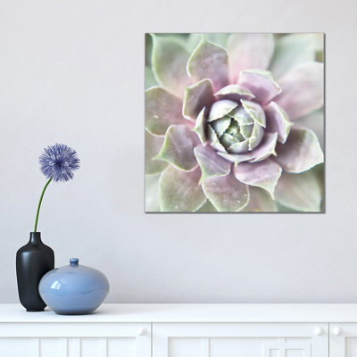 Succulent Glow II 1 Piece Wrapped Canvas Wall Art