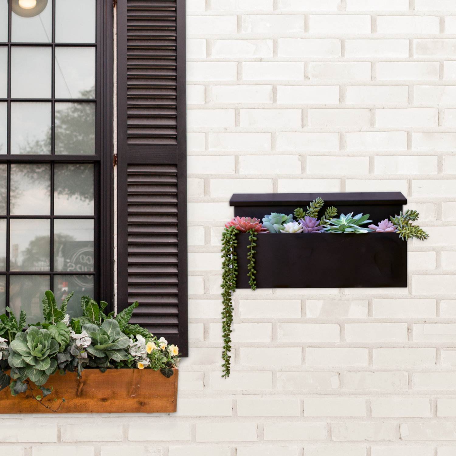 Package: MailVault Wall Planter Mailbox /w/ Succulents Set
