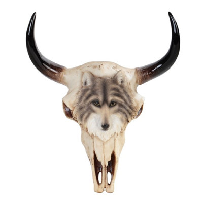 Crâne de buffle whide