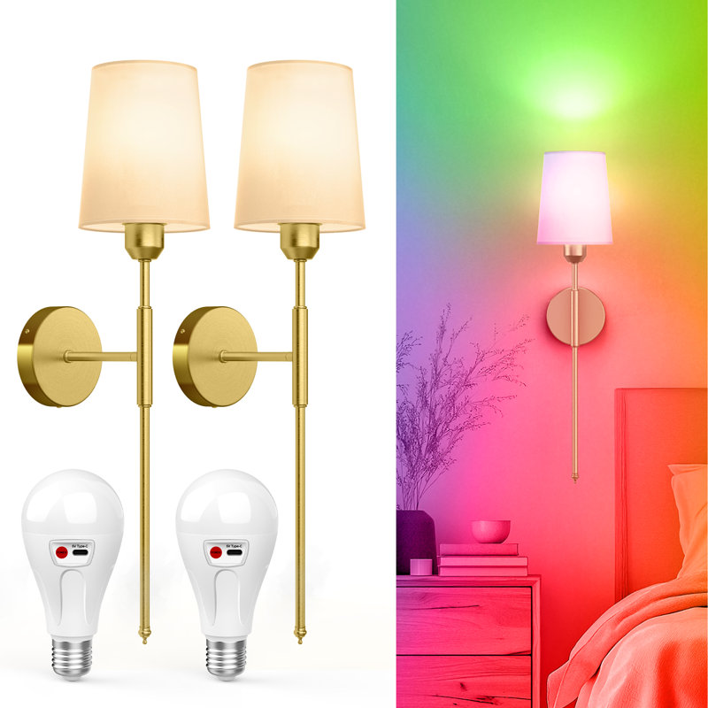 Applique murale à piles rechargeable avec piles et télécommande pour le salon, le couloir de la chambre à coucher (ensemble de 2)