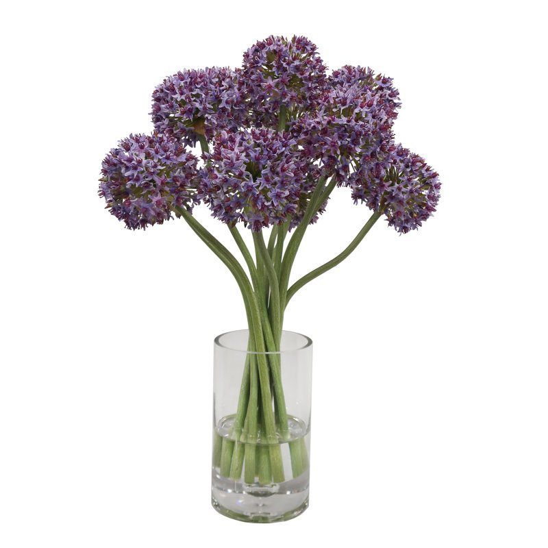 ALLIUM MOUNT EVEREST IN GLASS