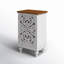 2 - Door Rectangle Accent Cabinet-1031587854