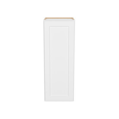 Armoire murale facile à assembler 15 po x 12 po x 42 po Camlock