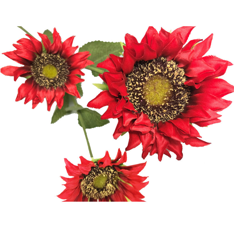 Tige de tournesol, Rouge / Vert / Brun