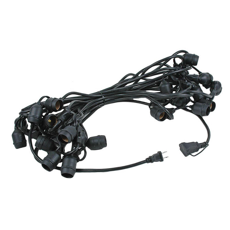 Amher Outdoor 48 - Bulb 48'' Plug-in Globe String Light, Black