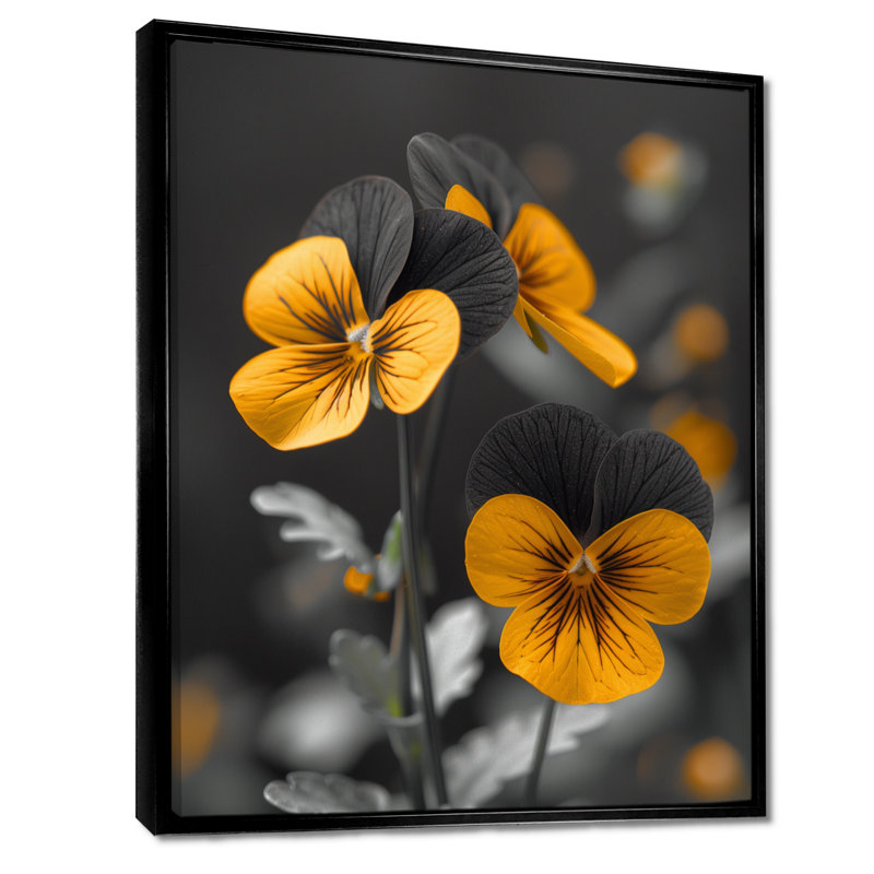 «Yellow and Grey Pansies Elegant Emblem I», art mural Pensées, Cadre noir, H 30 po x l 40 po