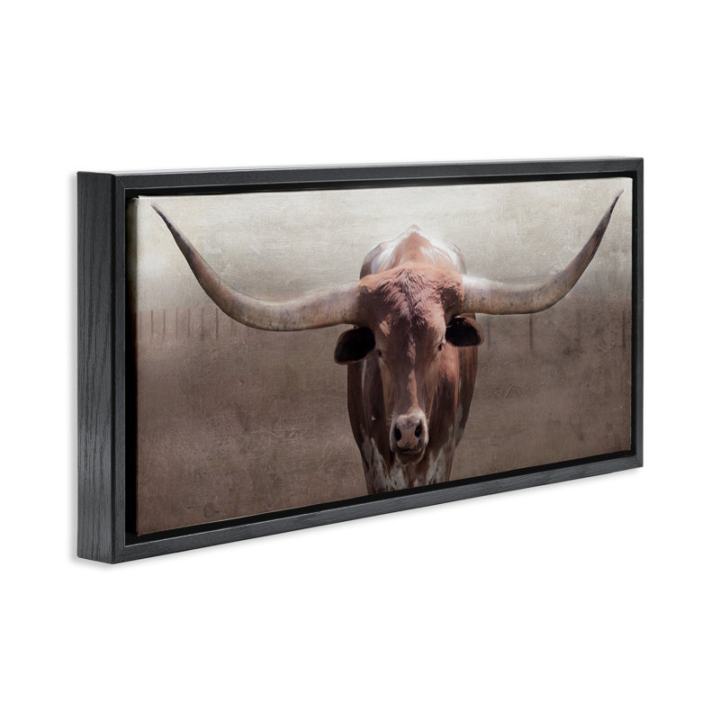 Cadre flottant rustique Western Longhorn, design par Carol Robinson, Cadre flottant noir de jais, H 14 po x l 31 po