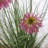48" Artificial Potted Grass With Flowers-607294753