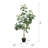 8' Artificial Potted Fiddle Tree-27787239
