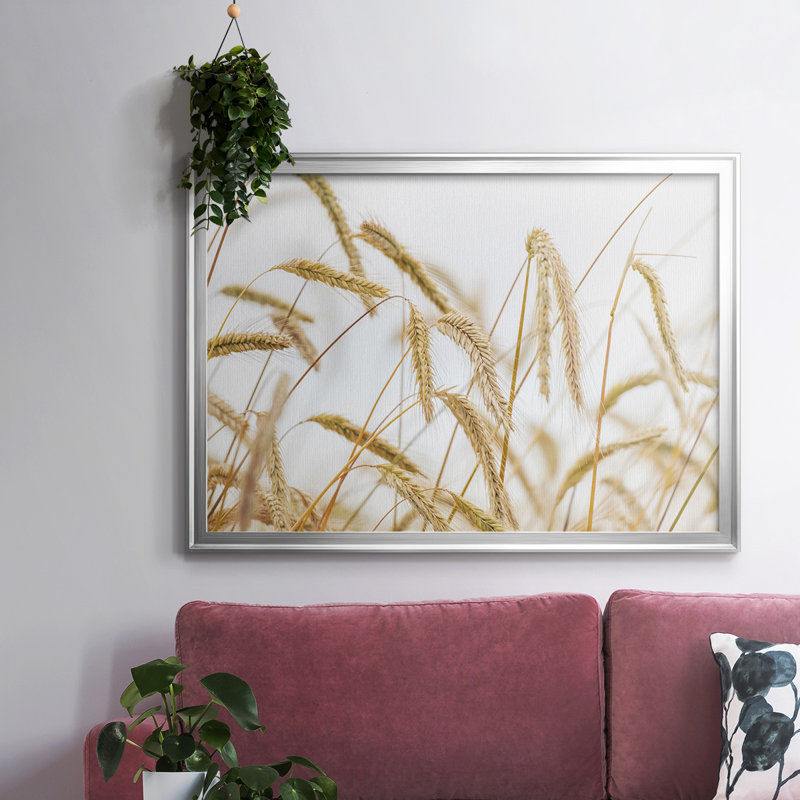 Wheat - Reproduction de photo sur toile simple, Argent, H 14 po x l 20 po x P 1,5 po