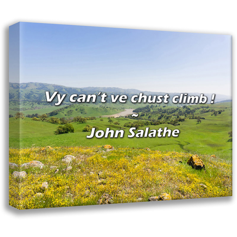 Citation de John Salathe: Je ne pourrais pas grimper!, H 20 po x l 24 po