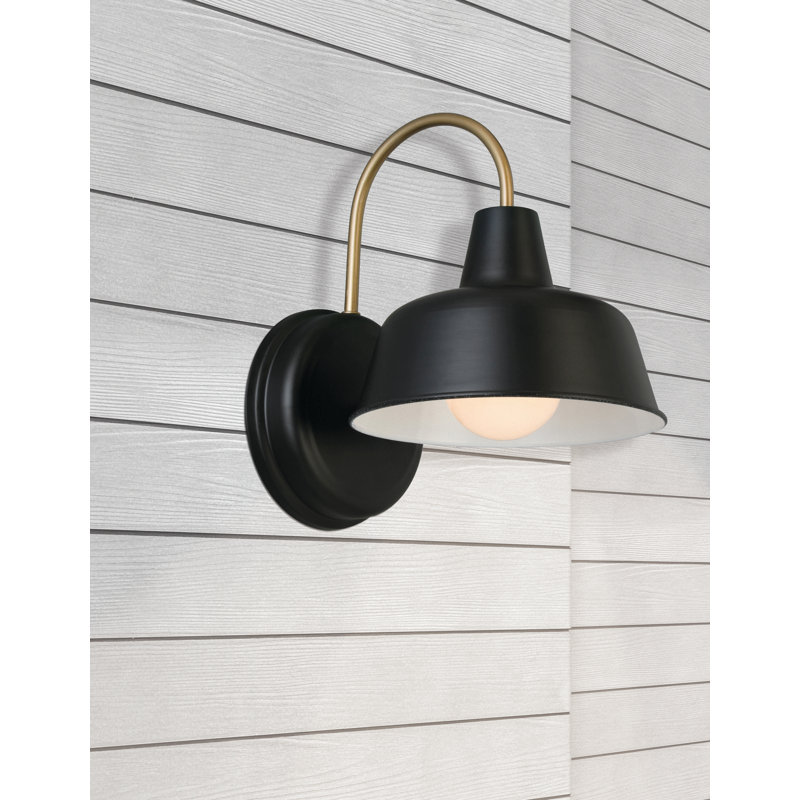 Luminaire de grange d'extérieur Jaklynn, H 11 po x l 8,38 po x P 10,5 po, Noir mat / or