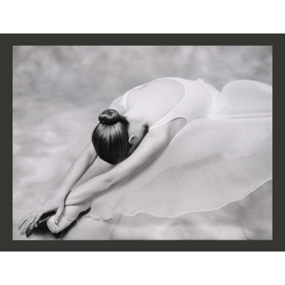 Ballet Dancer 270cm x 350cm Wallpaper