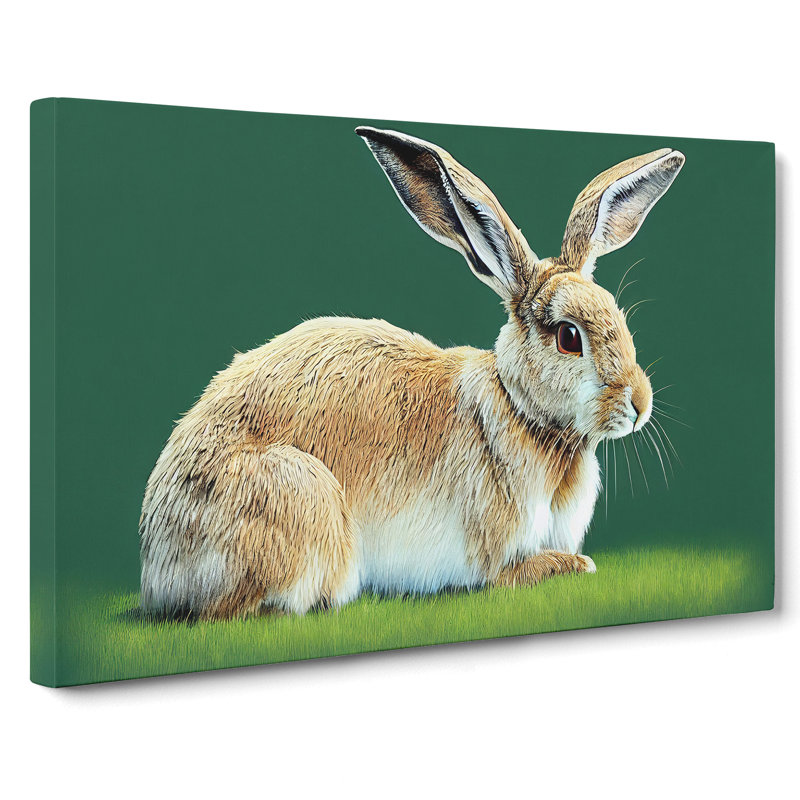 A Cute Rabbit - Wrapped Canvas, 50cm H x 76cm W x 3cm D
