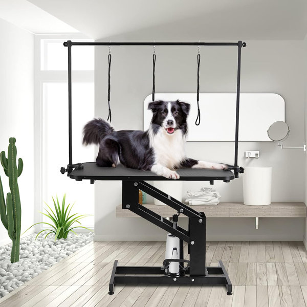 https://assets.wfcdn.com/im/53967325/resize-h600-w600%5Ecompr-r85/2483/248362904/Dog+Hydraulic+Grooming+Table.jpg