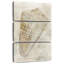 Aletra coquillage illusion II-108665983